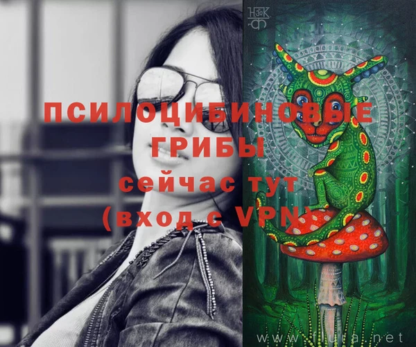 гидропоника Заволжск