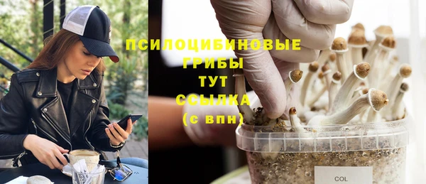 гидропоника Заволжск